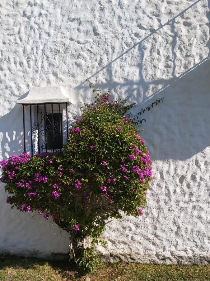Benamara Gardens, Apartment With Pool, 100M From Beach Near Marbella & エステポナ エクステリア 写真